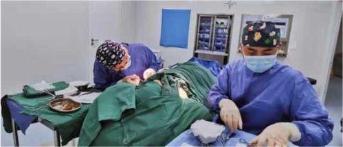 护士爆料狐臭视频大全,视频大全揭示异味背后的秘密